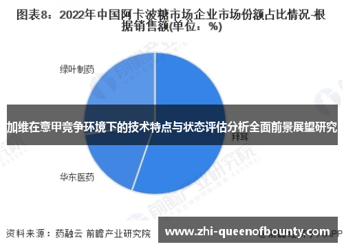 加维在意甲竞争环境下的技术特点与状态评估分析全面前景展望研究